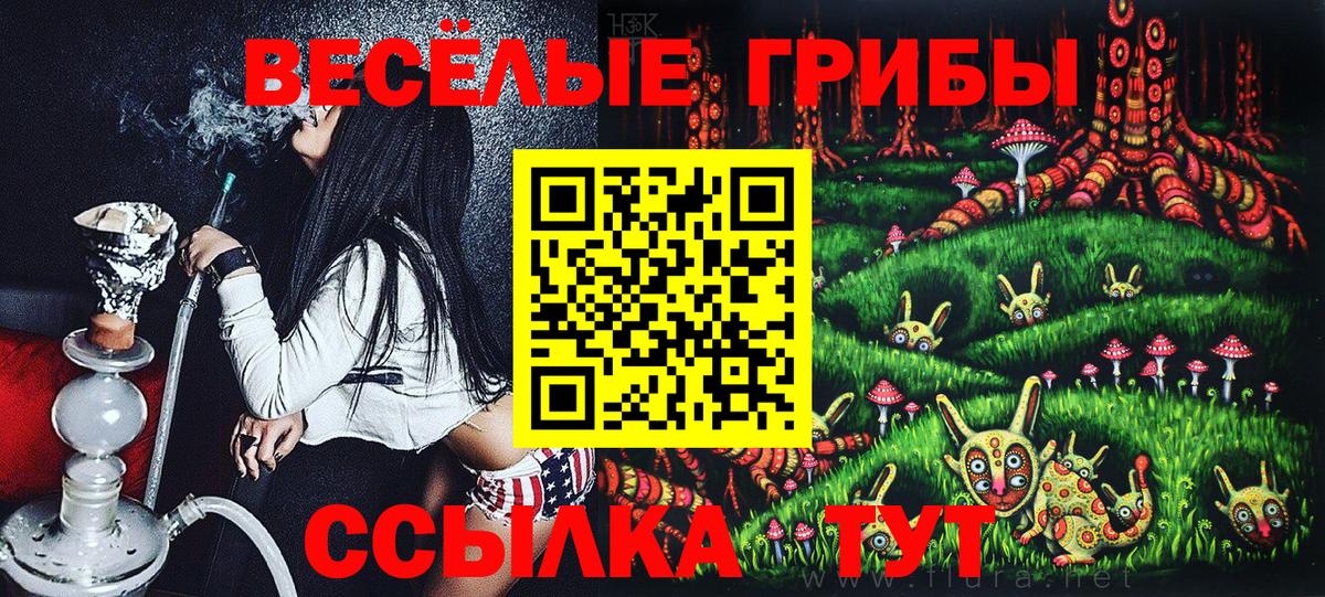 Псилоцибиновые грибы мицелий Егорьевск