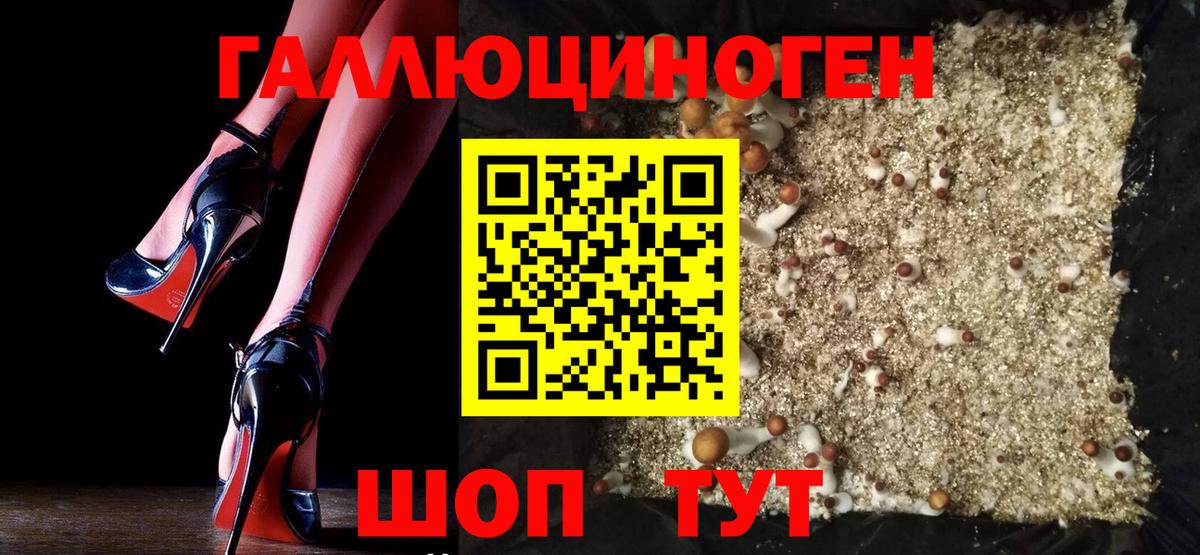 Псилоцибиновые грибы мицелий  Вход с VPN  Псилоцибиновые грибы мицелий  Егорьевск 